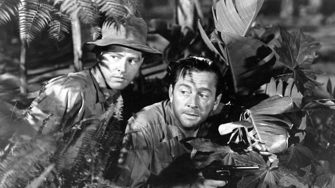 Backdrop – The Caribbean Mystery