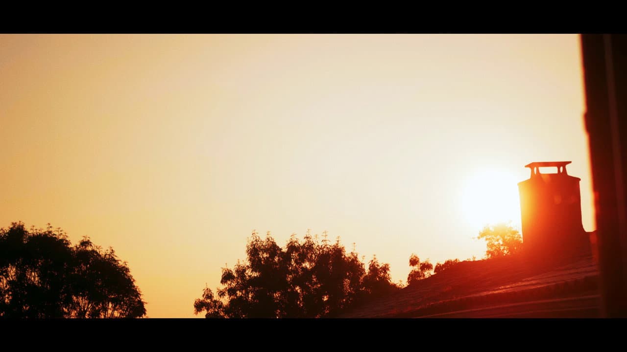 Backdrop – Dawn's Sunset