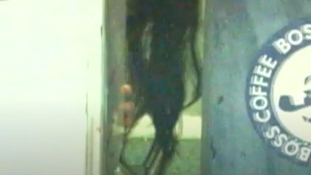 Backdrop – ほんとにあった！呪いのビデオ12