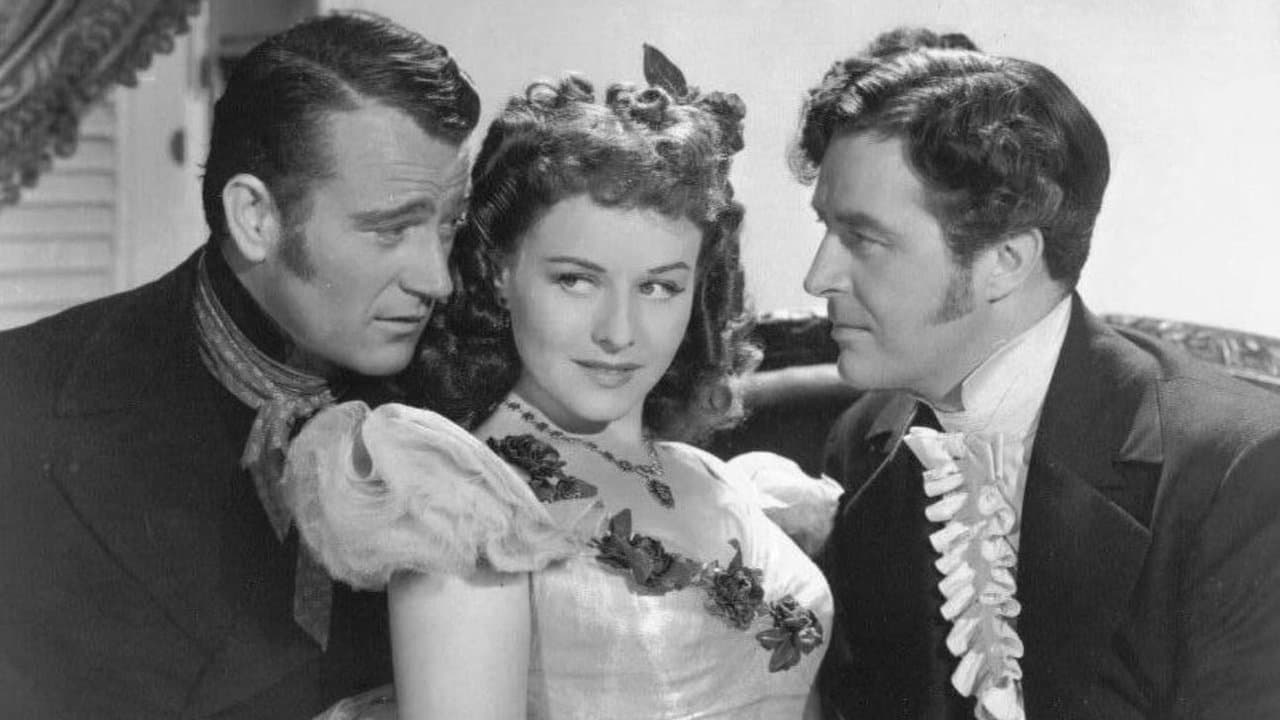 Backdrop – Piraten im karibischen Meer