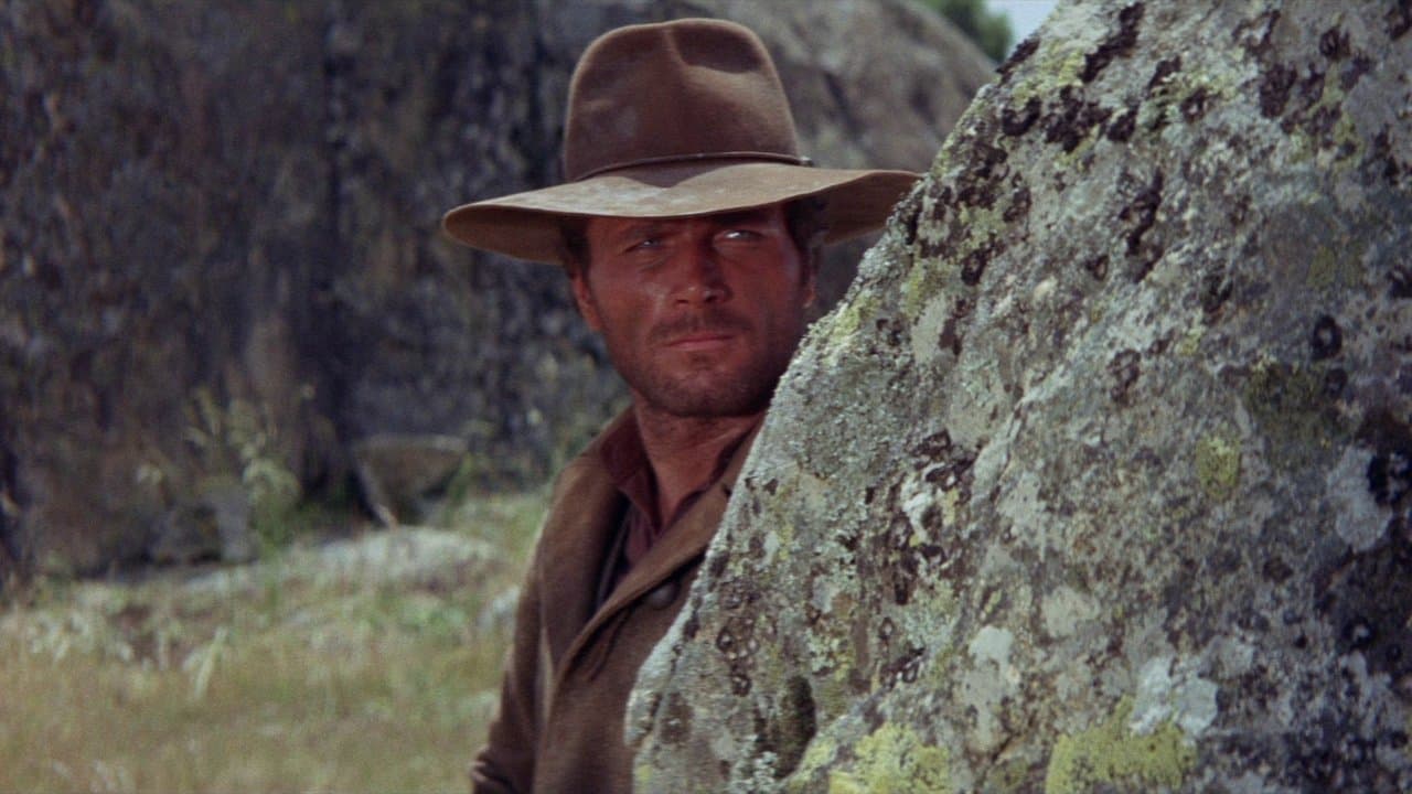 Backdrop – Django, der Rächer