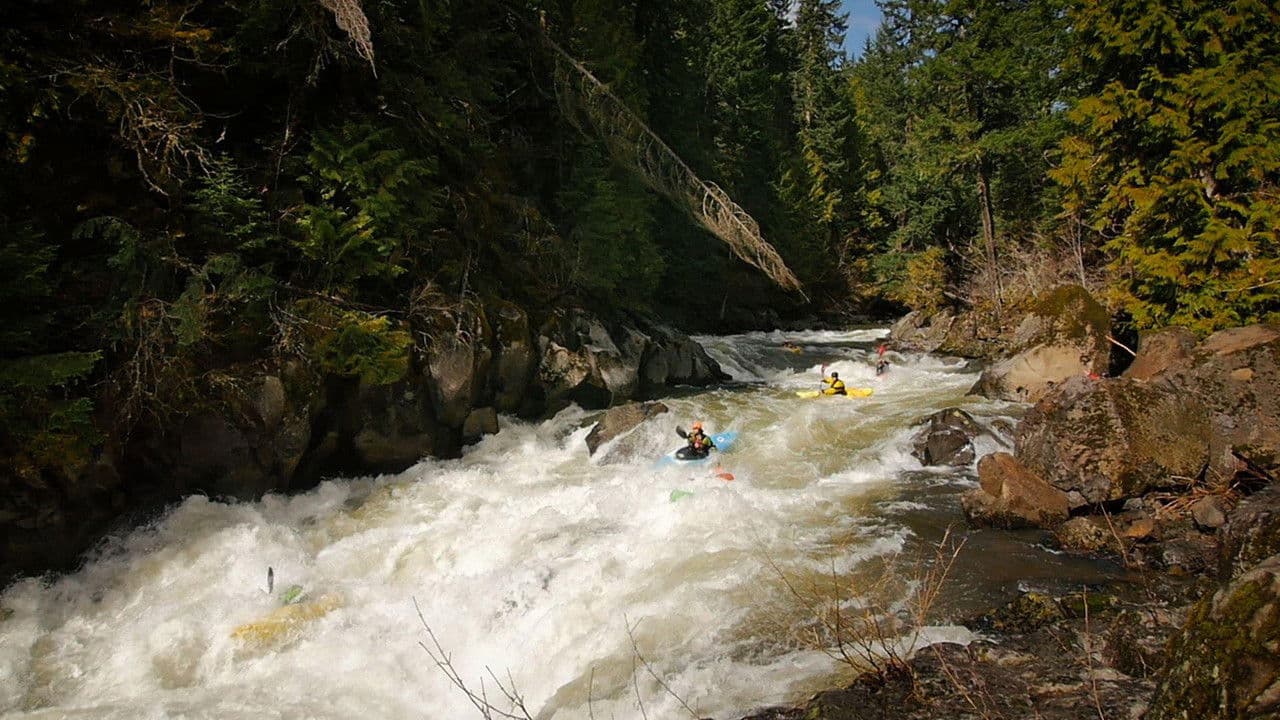 Backdrop – For the Love