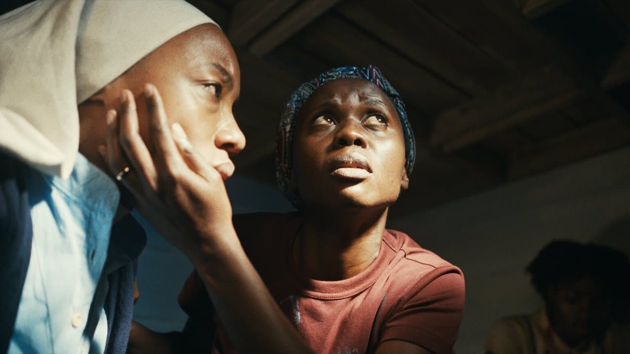 Backdrop – Trees of Peace