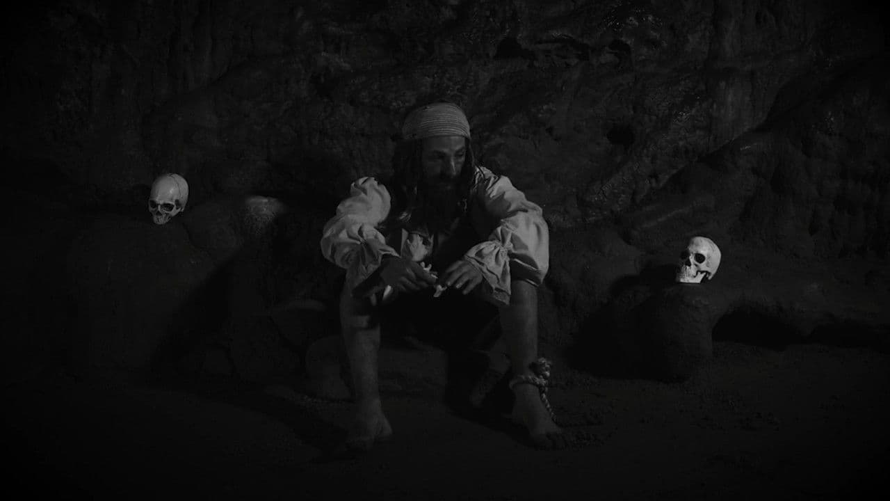 Backdrop – Sea, Salt & Rum