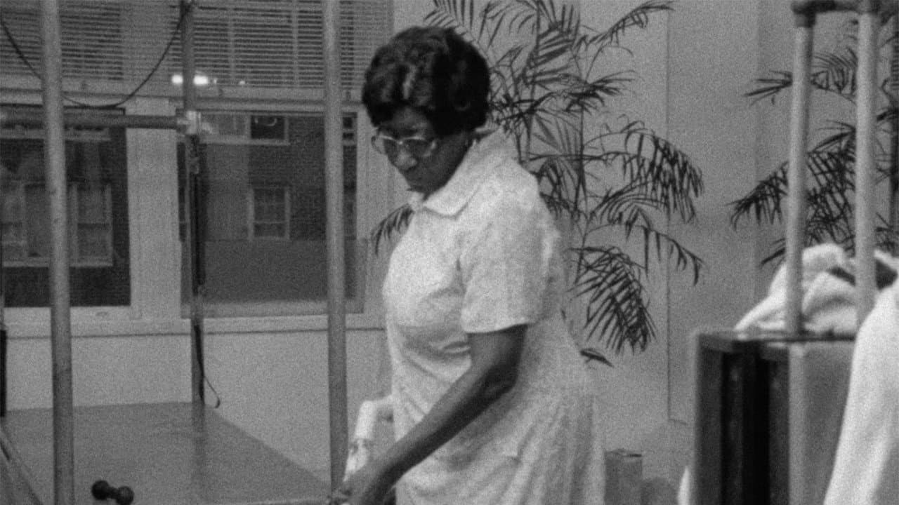 Backdrop – Fannie's Film