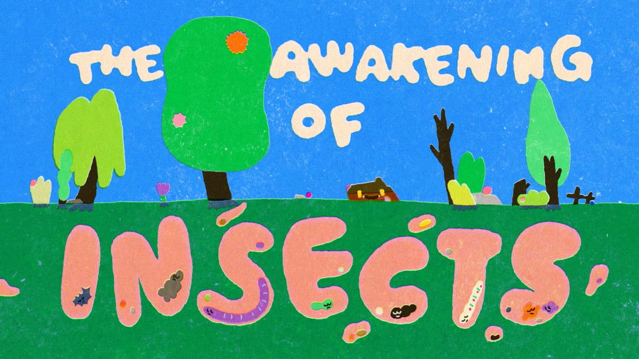 Backdrop – The Awakening of Insects