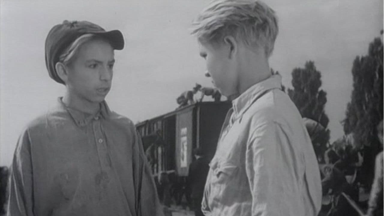 Backdrop – Кортик