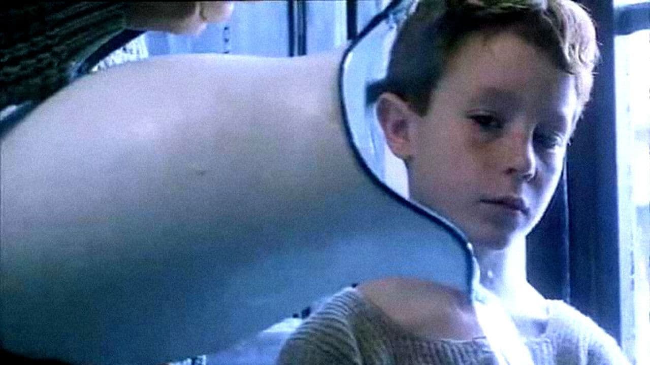 Backdrop – La grande quercia