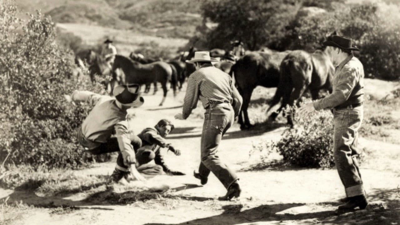 Backdrop – Black Eagle