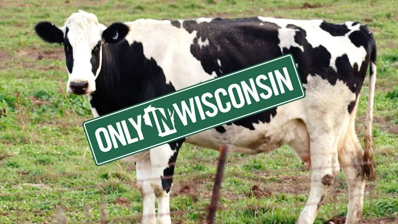 Backdrop – Tale of the Spotted Cow