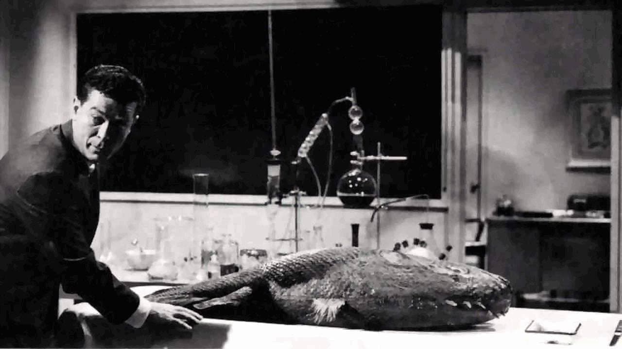 Backdrop – Der Schrecken schleicht durch die Nacht