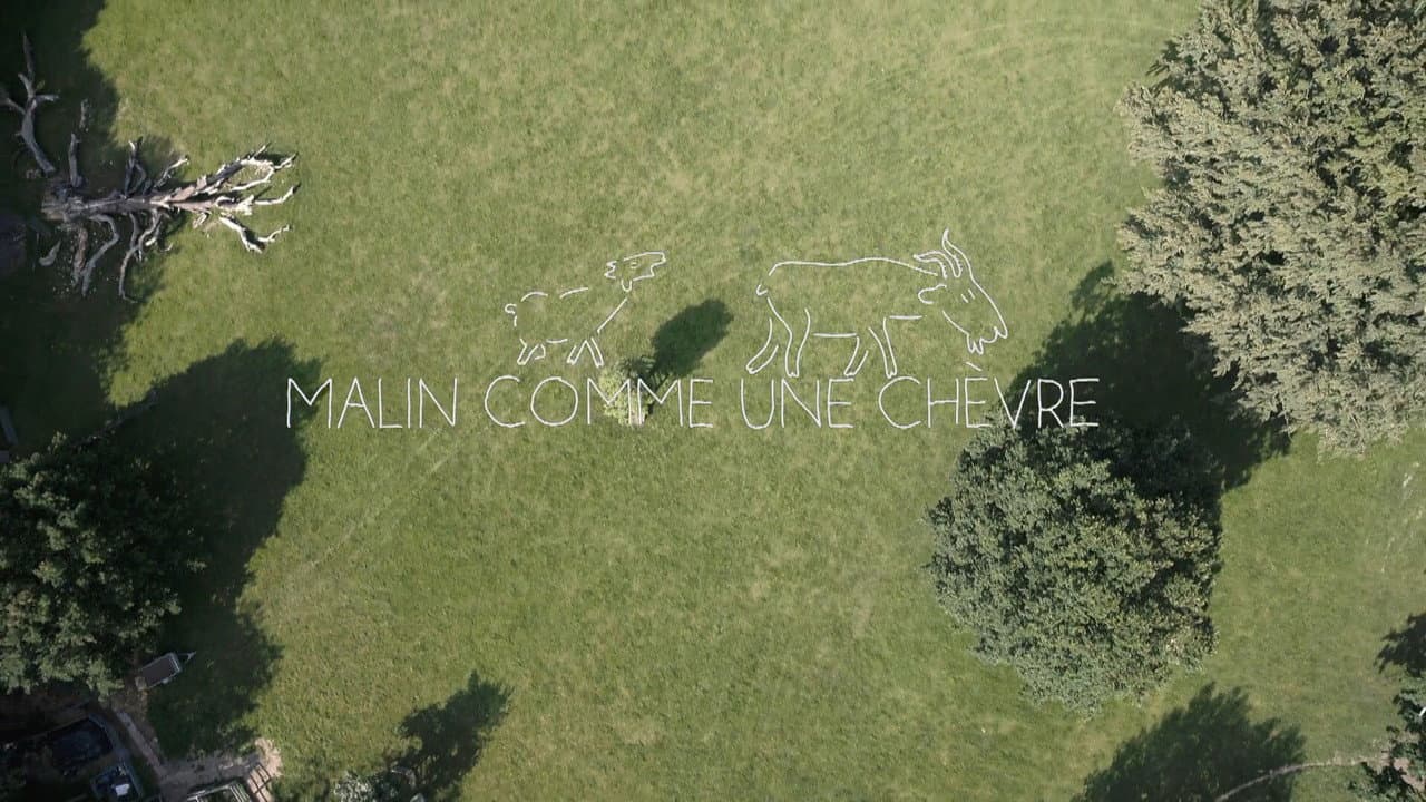 Backdrop – Malin comme une chèvre