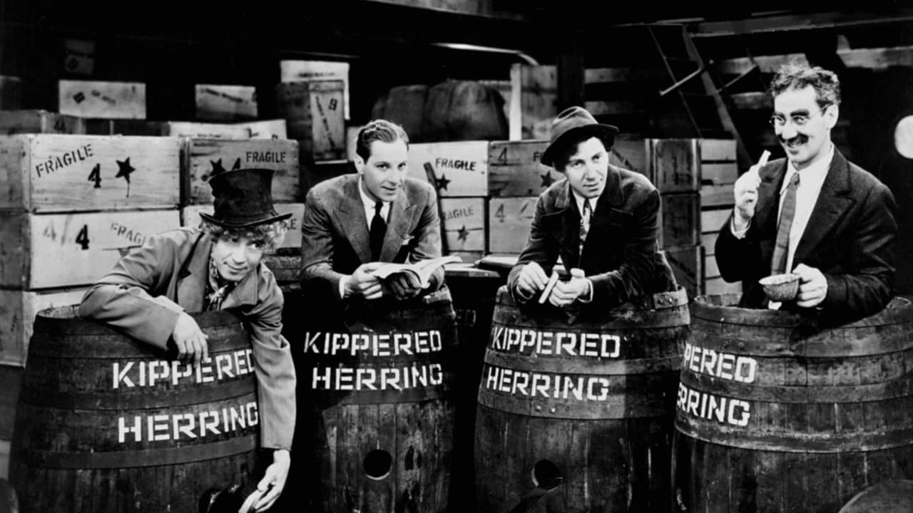 Backdrop – Die Marx Brothers auf See