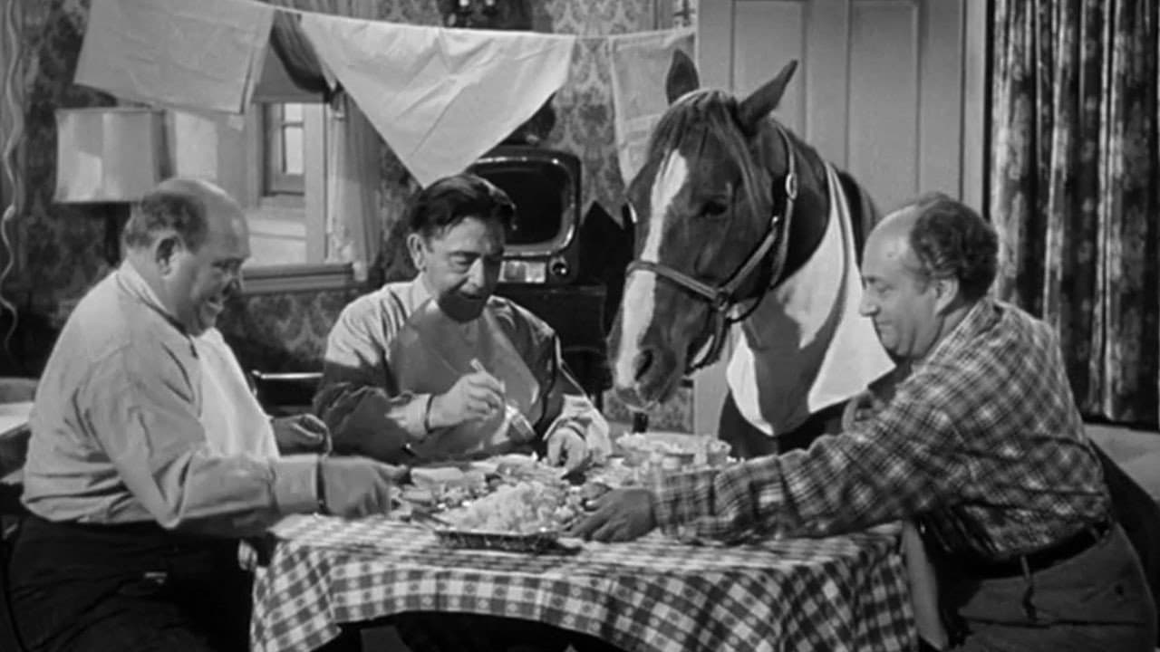 Backdrop – Horsing Around