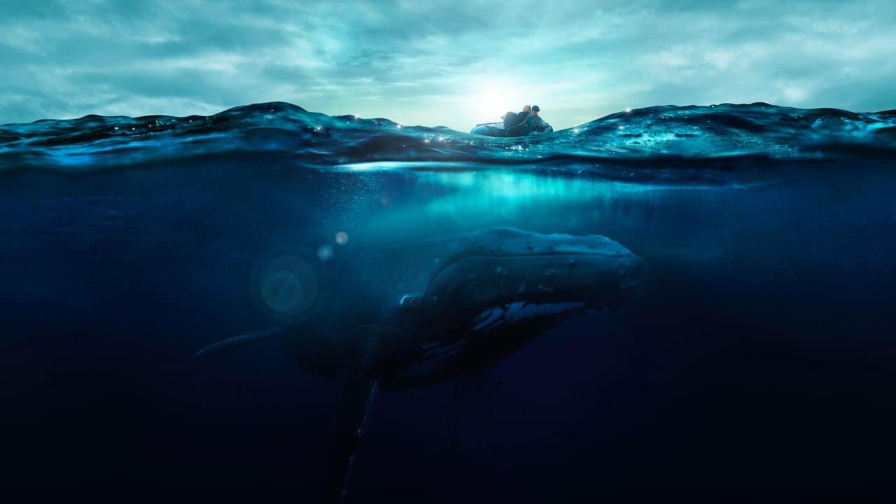 Backdrop – Der Klang der Tiefe