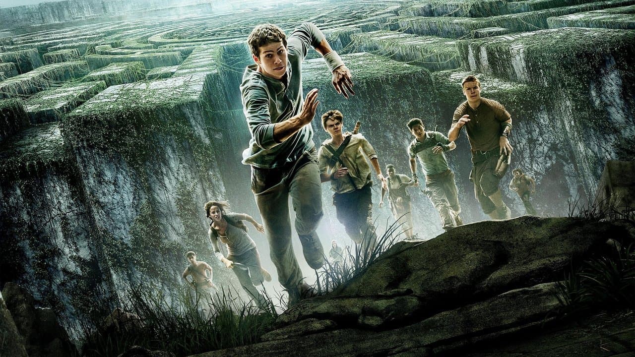 Backdrop – Maze Runner - Die Auserwählten im Labyrinth