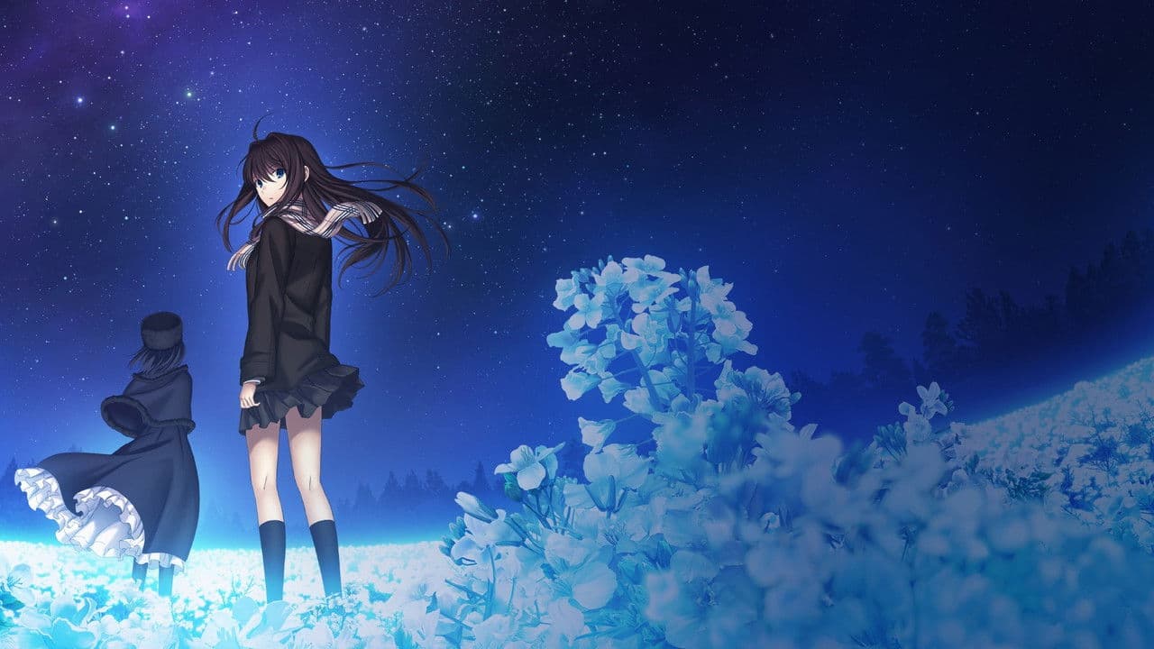 Backdrop – 魔法使いの夜