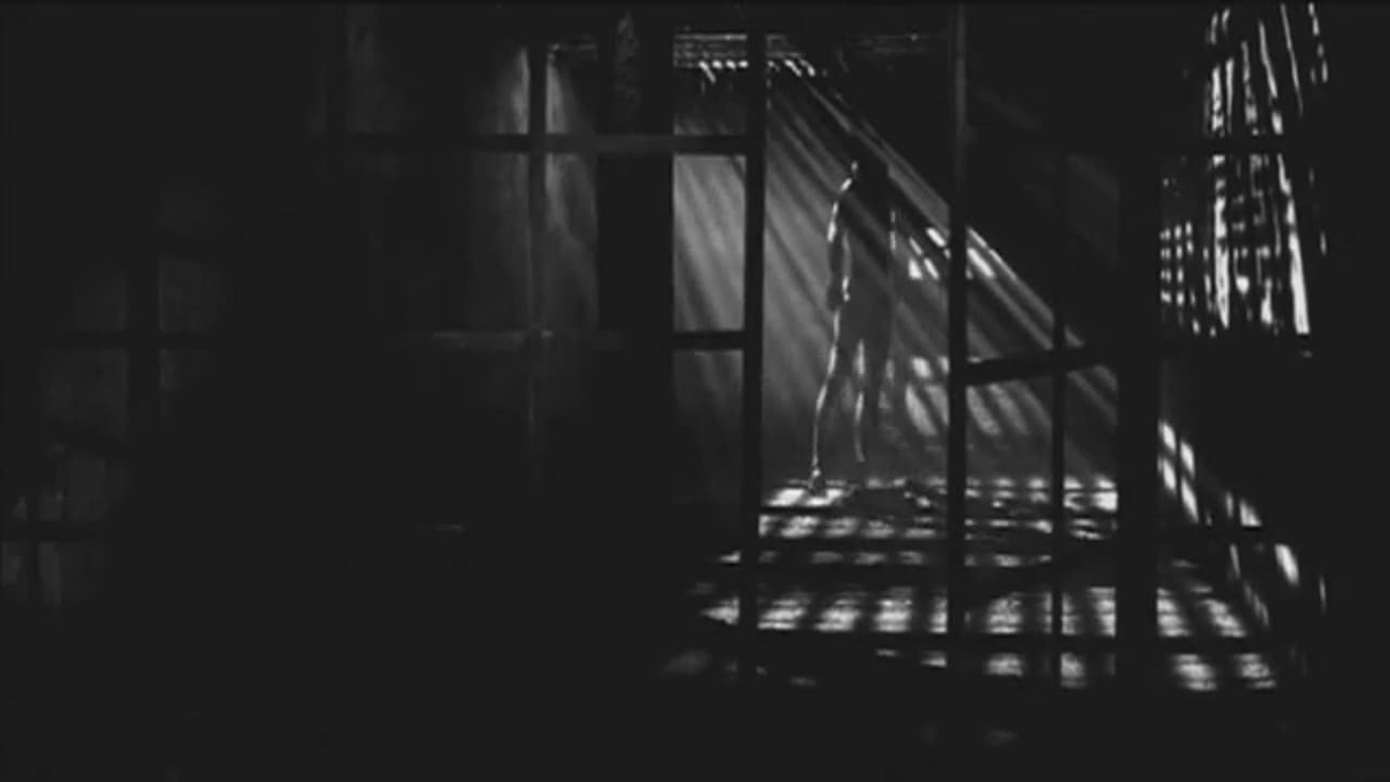 Backdrop – Zoetrope