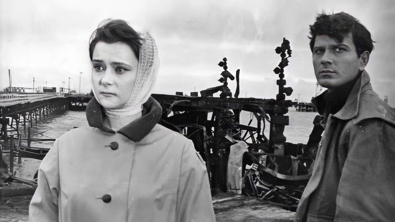 Backdrop – Insan Məskən Salır