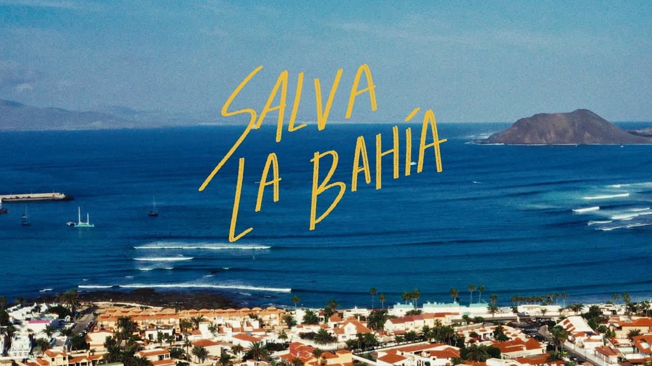 Backdrop – Save the Bay