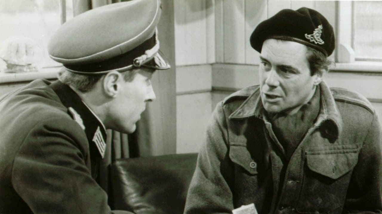 Backdrop – The Password Is Courage