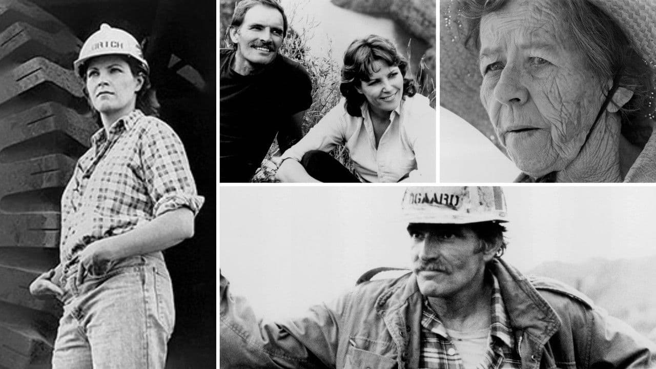 Backdrop – Wildrose