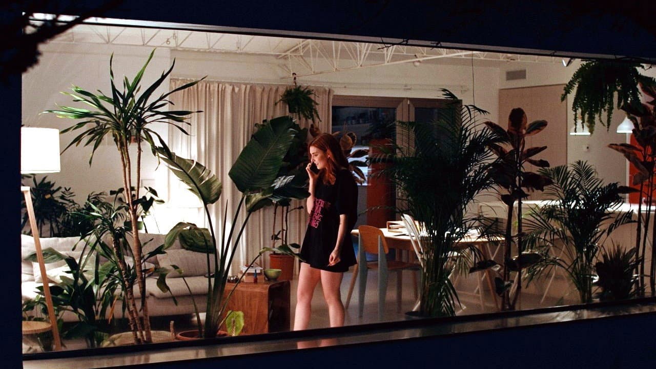 Backdrop – Monstera