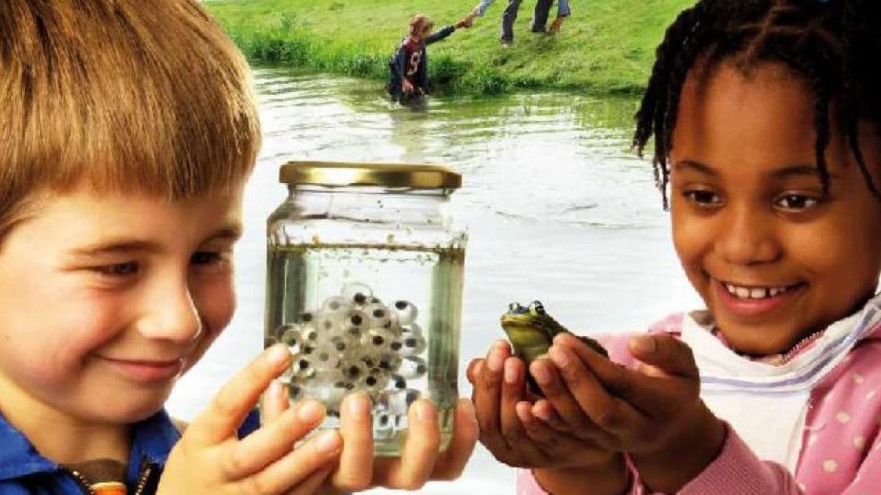 Backdrop – Kikkerdril