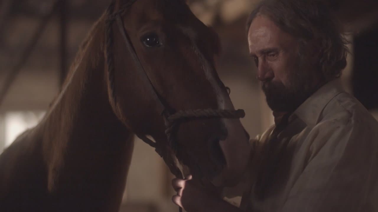 Backdrop – Florêncio Guerra e Seu Cavalo