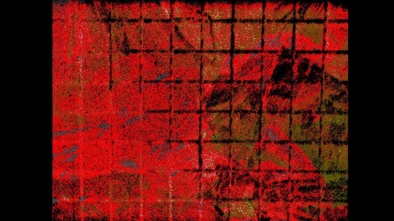 Backdrop – Losing Touch