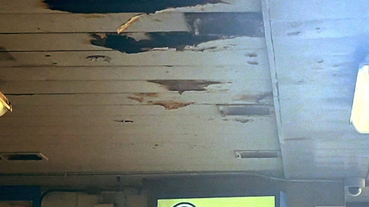 Backdrop – Rush Light