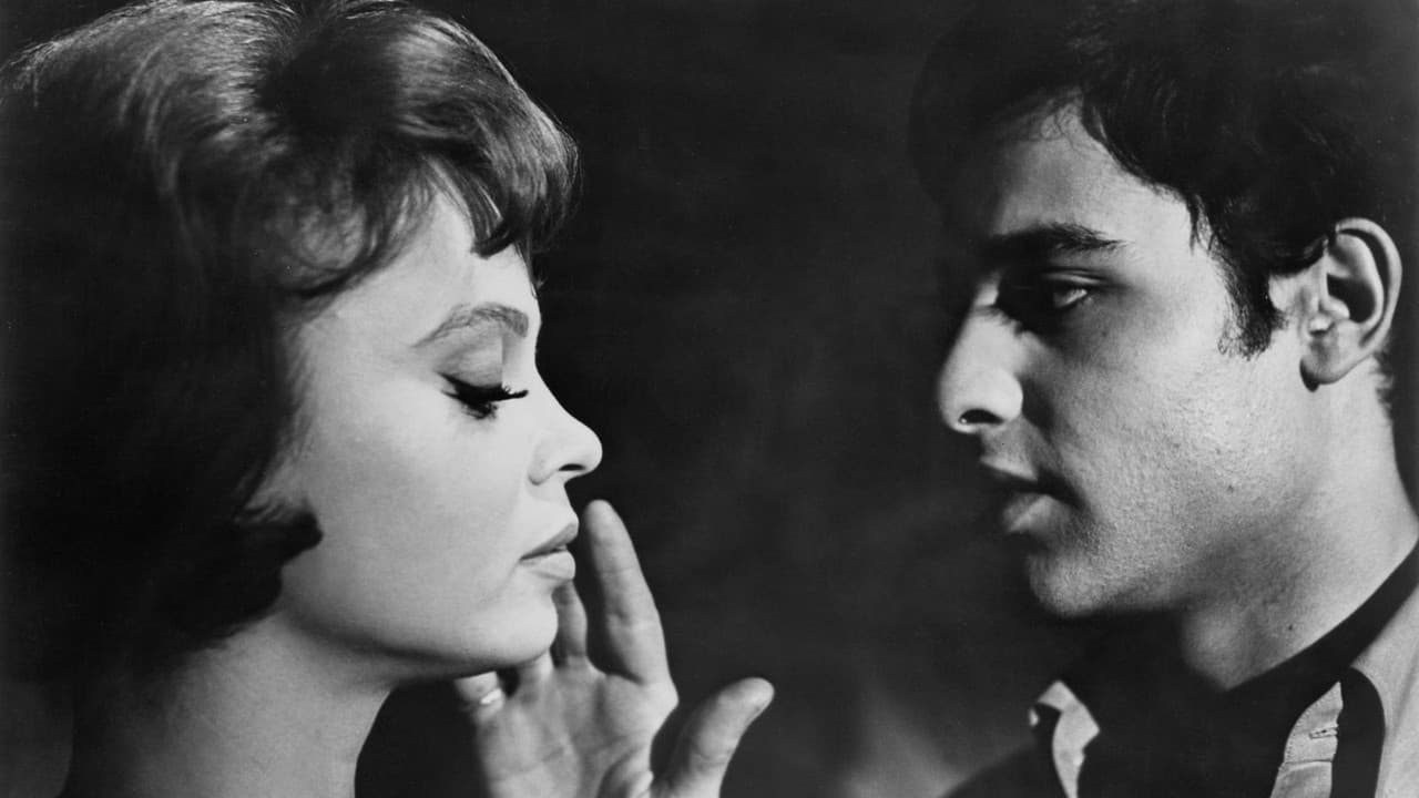 Backdrop – Who Killed Teddy Bear?