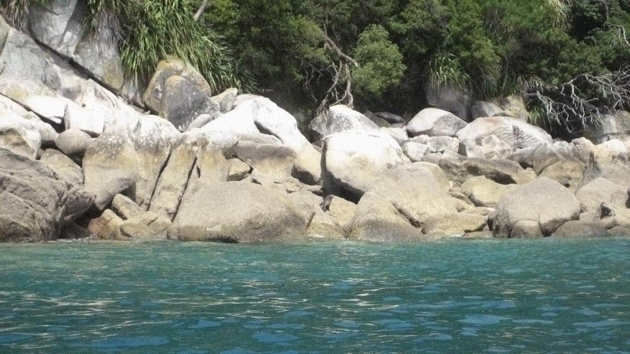 Backdrop – The Other Side of Heaven