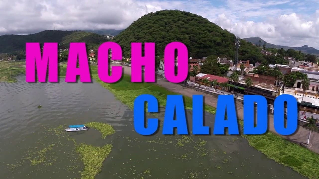 Backdrop – Macho calado