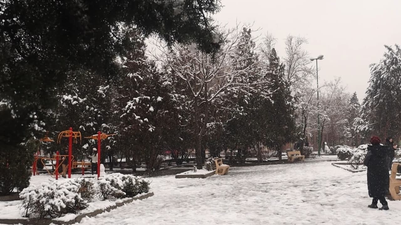 Backdrop – این است زندگی