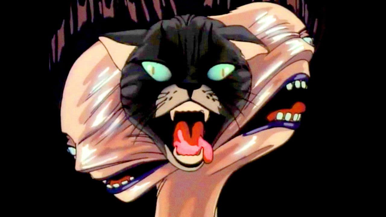 Backdrop – Lily C.A.T.