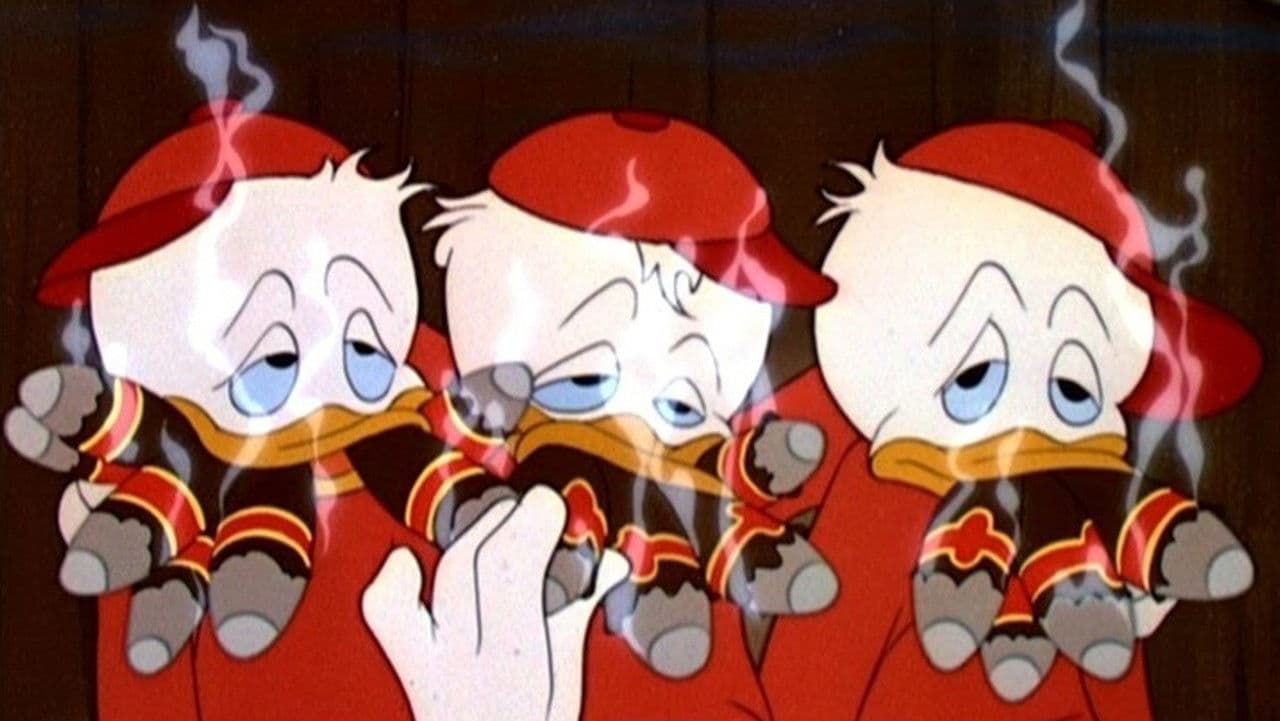 Backdrop – Donalds Geburtstag