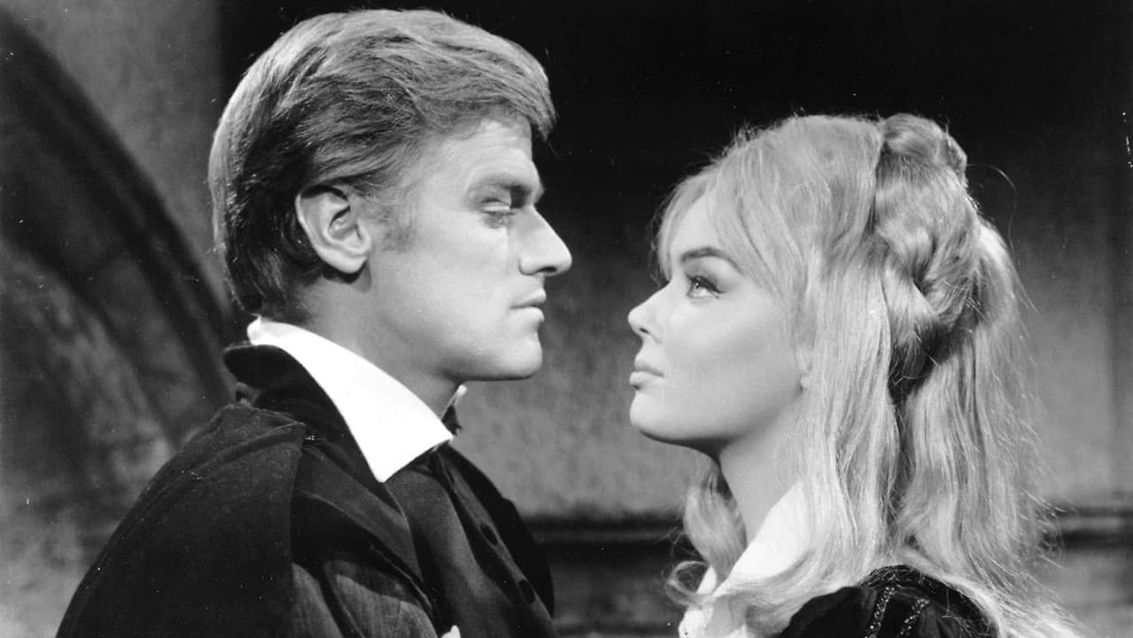 Backdrop – Pirat der sieben Meere