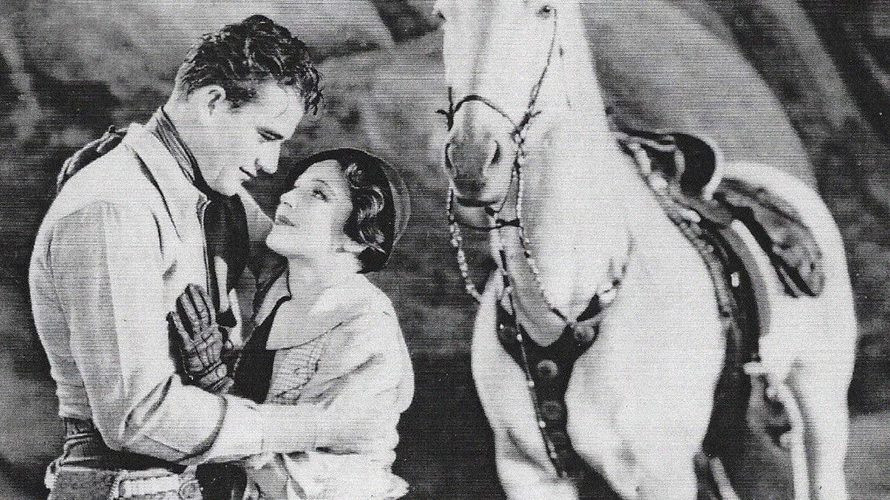 Backdrop – Abrechnung in Sonora