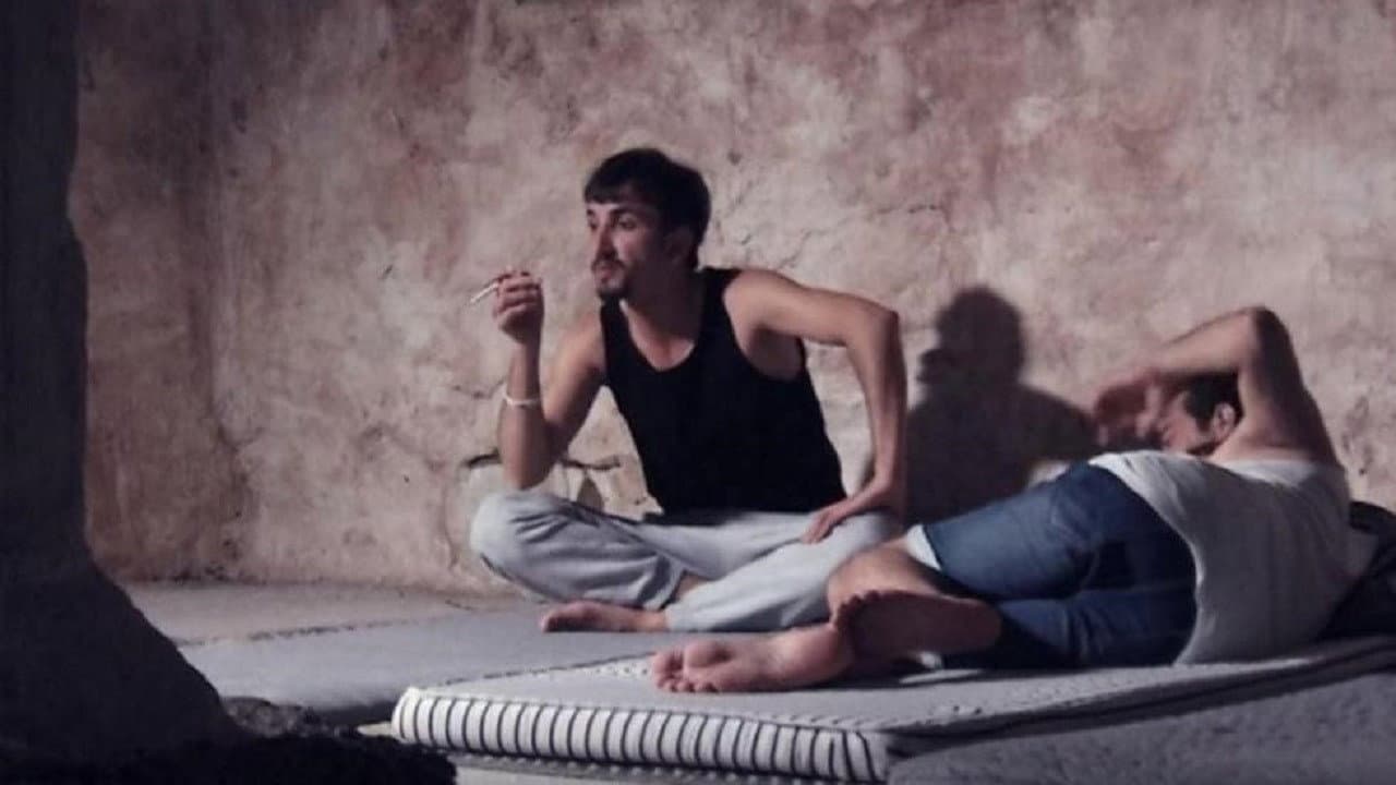 Backdrop – Privacy of Wounds