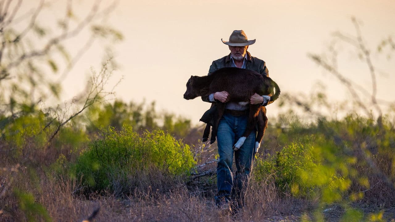 Backdrop – La Gloria