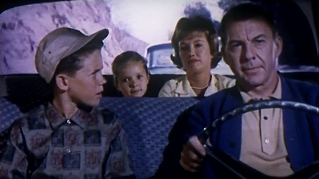 Backdrop – Anatomy of an Accident