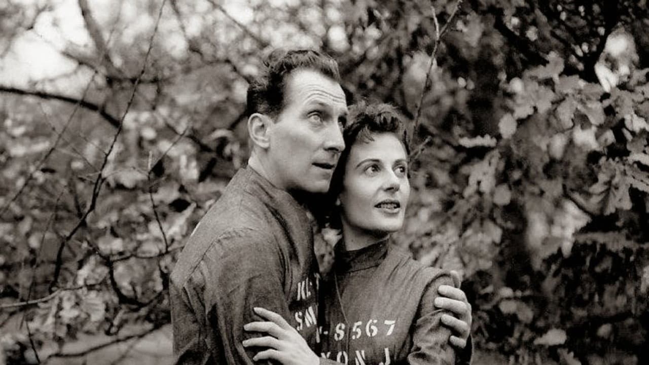 Backdrop – Nineteen Eighty-Four