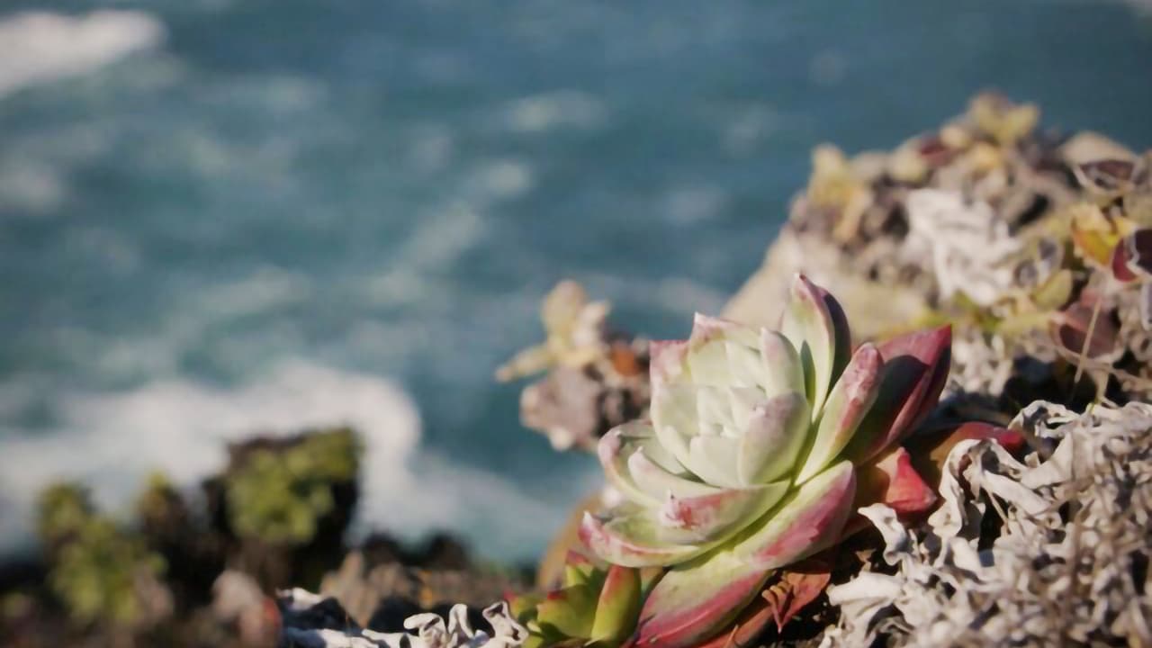 Backdrop – Plant Heist