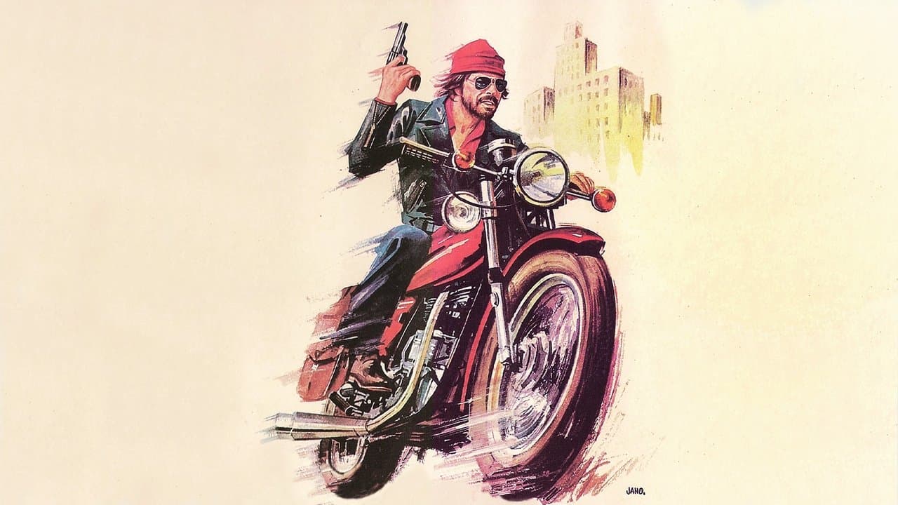 Backdrop – Flash Solo