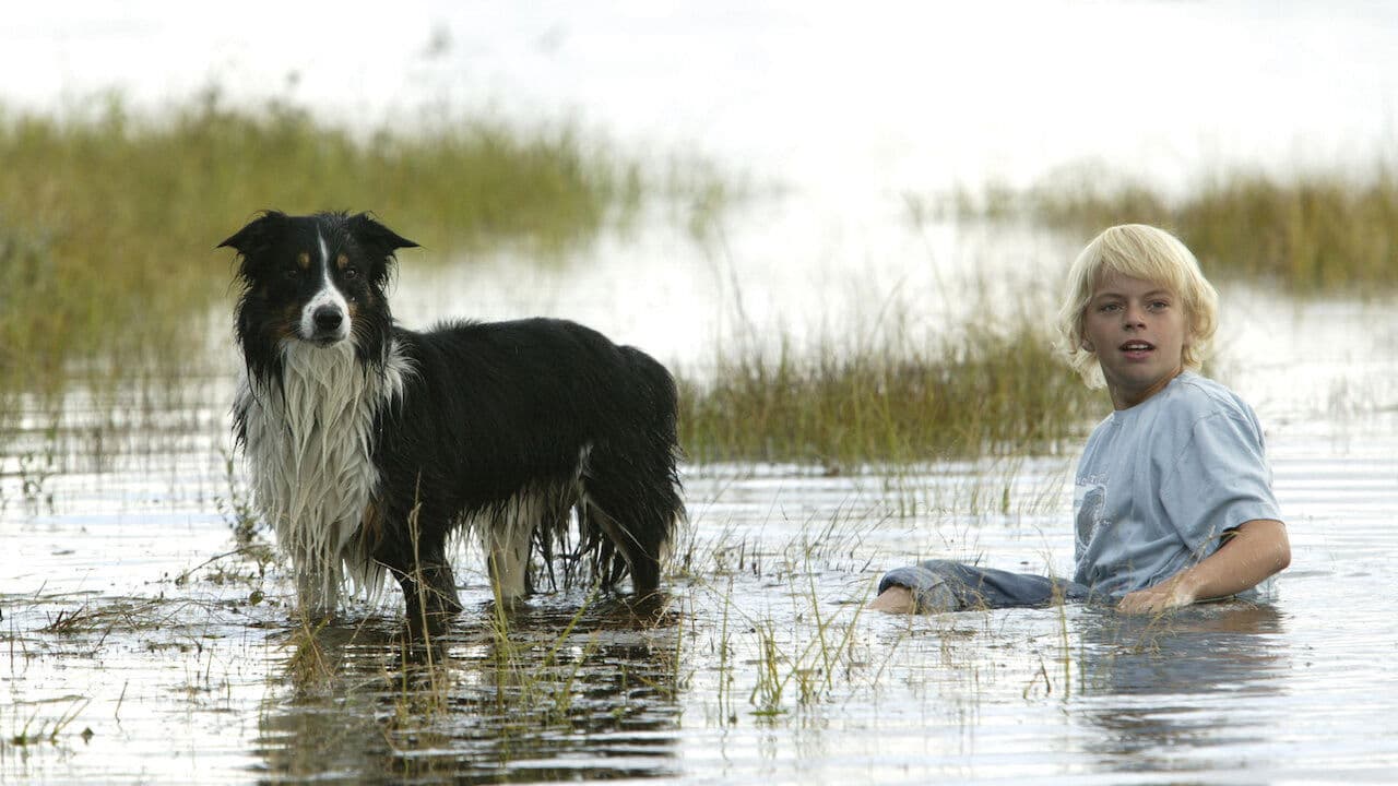 Backdrop – SOS - Petter ohne Netz