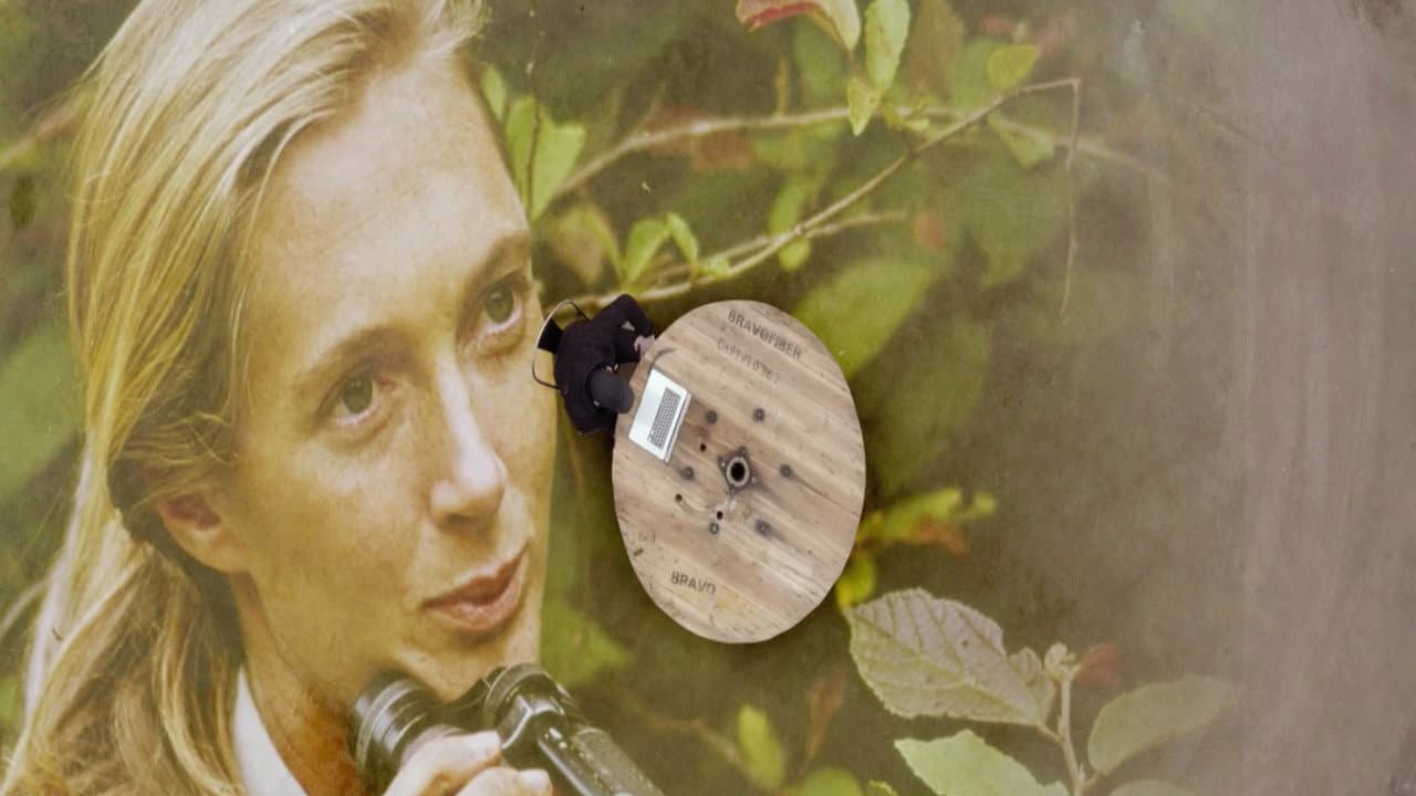 Backdrop – Jane Goodall : Comment sauver les animaux