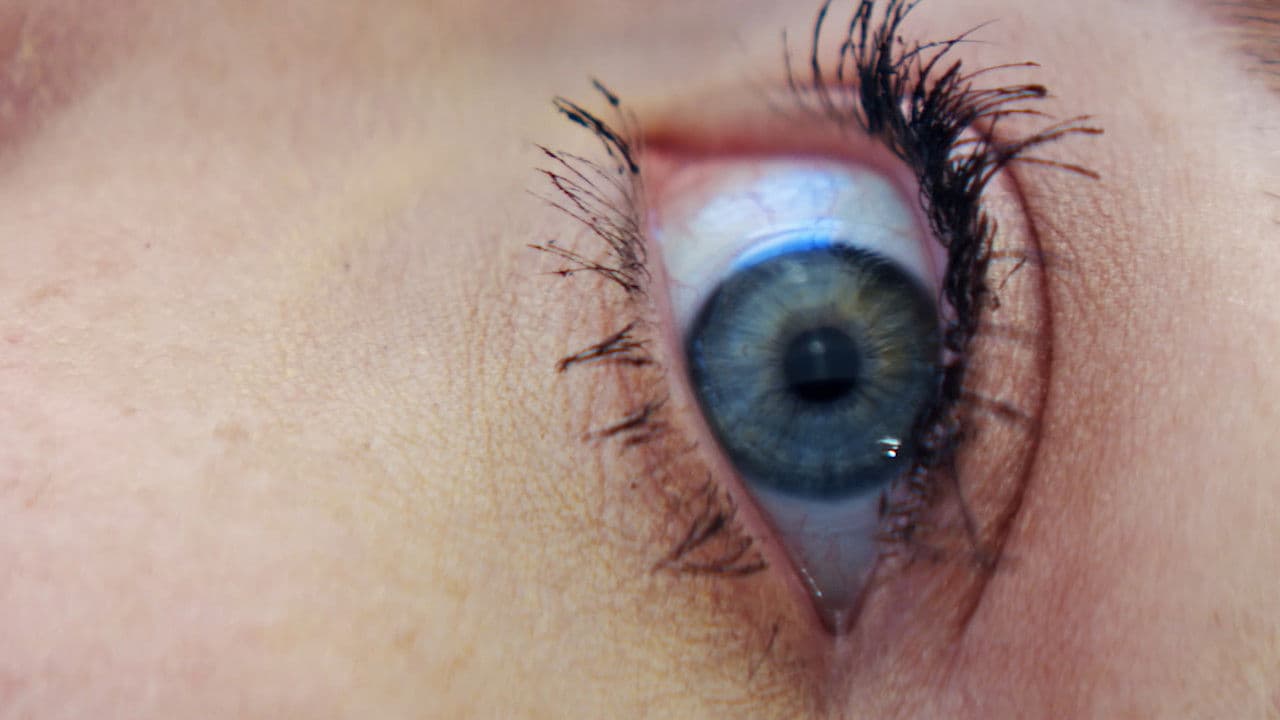 Backdrop – Ava in the End