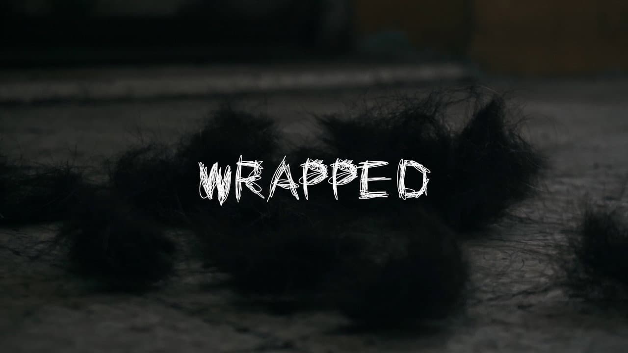 Backdrop – WRAPPED