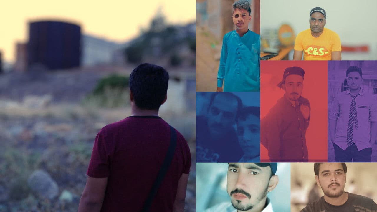 Backdrop – The Pigeons of Lahore